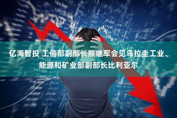 亿海智投 工信部副部长熊继军会见乌拉圭工业、能源和矿业部副部长比利亚尔
