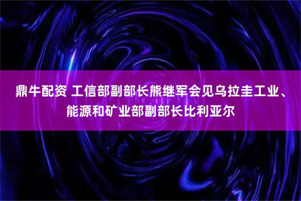 鼎牛配资 工信部副部长熊继军会见乌拉圭工业、能源和矿业部副部长比利亚尔