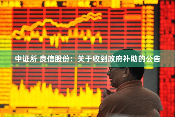 中证所 良信股份：关于收到政府补助的公告