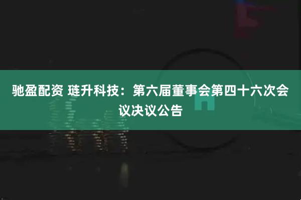驰盈配资 琏升科技：第六届董事会第四十六次会议决议公告