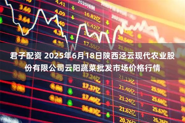 君子配资 2025年6月18日陕西泾云现代农业股份有限公司云阳蔬菜批发市场价格行情