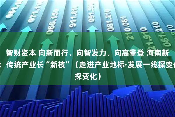 智财资本 向新而行、向智发力、向高攀登 河南新乡：传统产业长“新枝”（走进产业地标·发展一线探变化）