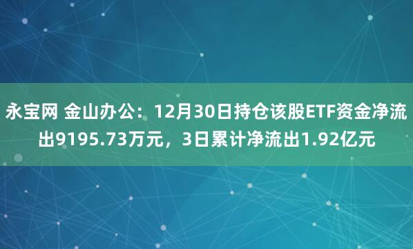 永宝网 金山办公：12月30日持仓该股ETF资金净流出9195.73万元，3日累计净流出1.92亿元