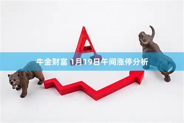 牛金财富 1月19日午间涨停分析